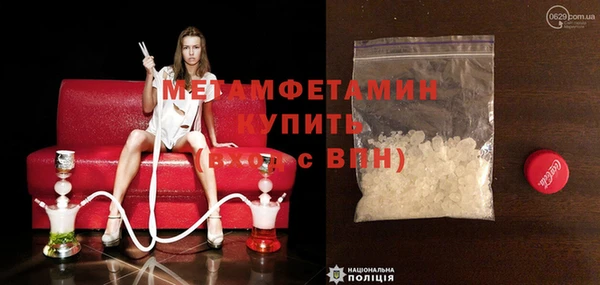 мяу мяу мука Беслан