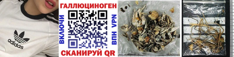 mega tor  Тбилисская  shop как зайти  Псилоцибиновые грибы Cubensis 